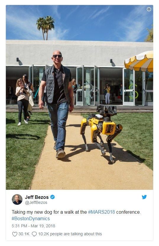 Jeff bezos robotic fashion dog