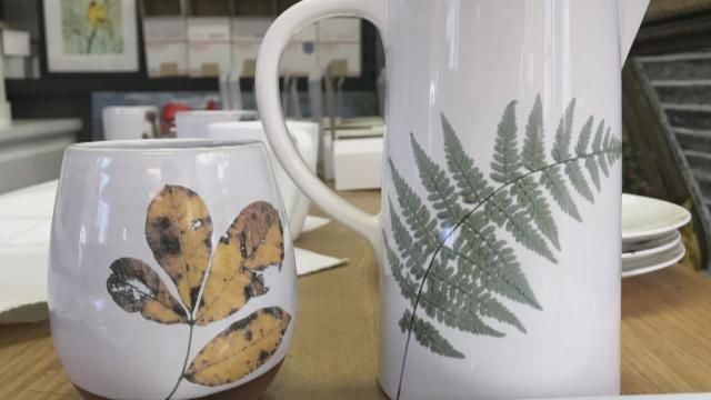 Leaf Mug and Fern Pitcher