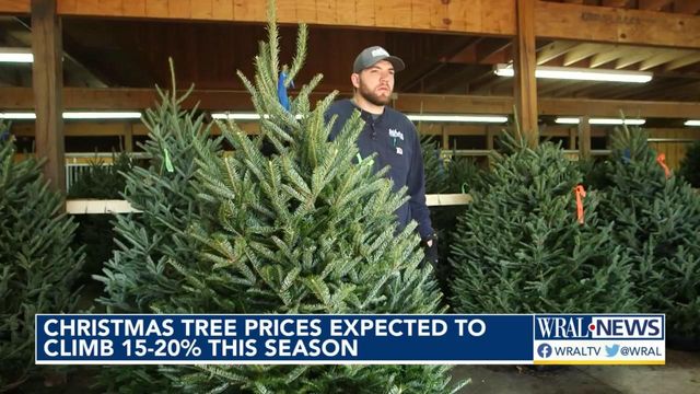 Christmas trees going up in price this season