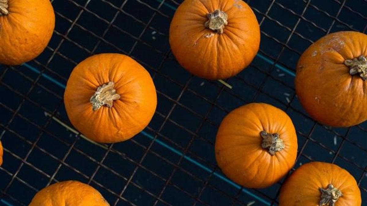 Pumpkin patches
