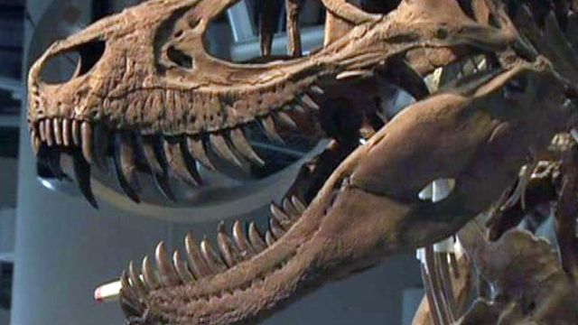 NC science museum's new wing opens in three weeks