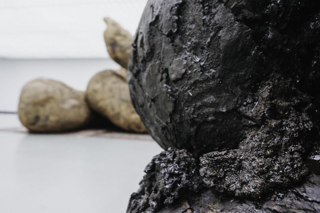 In This Exhibition, You Walk Through Excrement