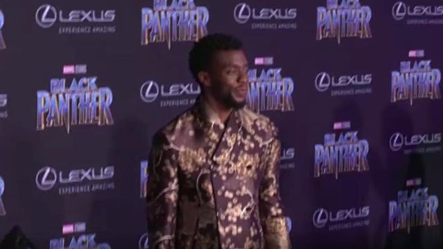 'Black Panther 2' release date announced