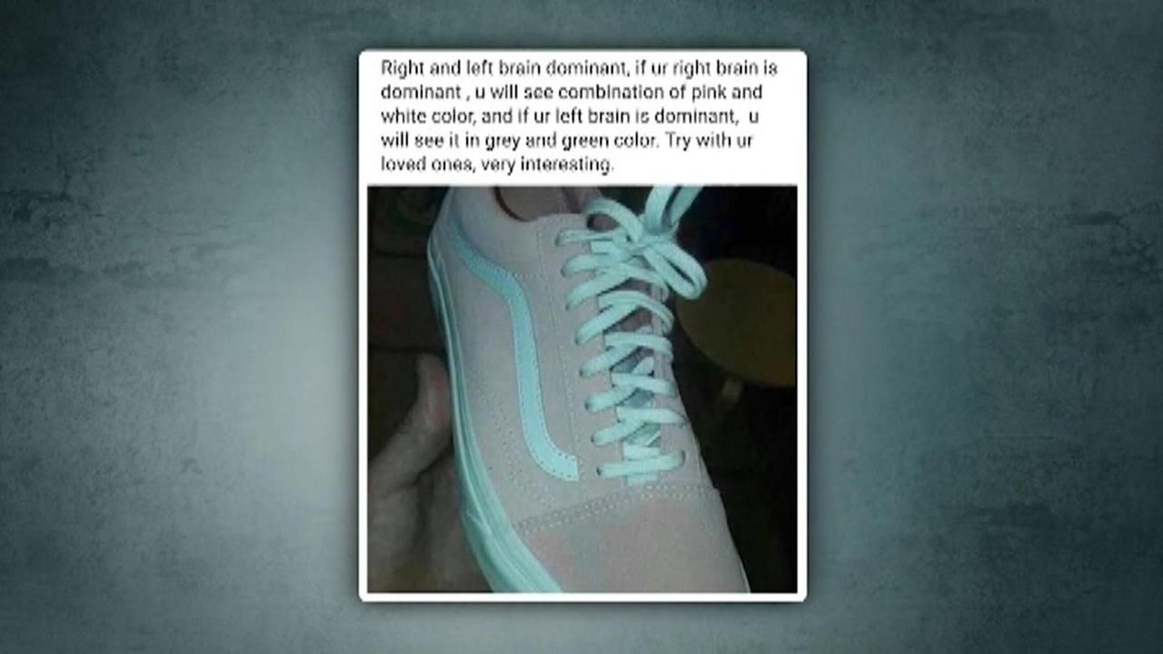 Pink and white hot sale shoe illusion answer