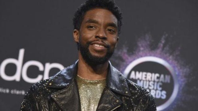 Petition started for Chadwick Boseman statue in actor's hometown