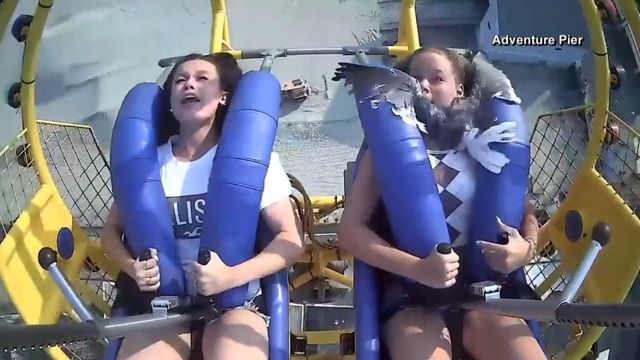 Seagull hits woman riding roller coaster