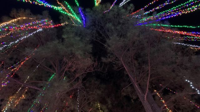 Christmas light waterfall: Cary home shines with 200,000 lights 