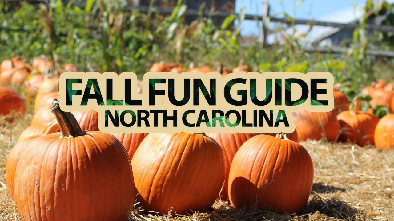 From pumpkin-picking to hayrides: Your 2023 guide to fall fun in Raleigh NC