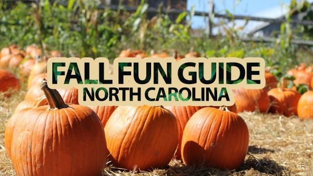Fall fun guide: Your 2023 guide to fall fun in Raleigh NC
