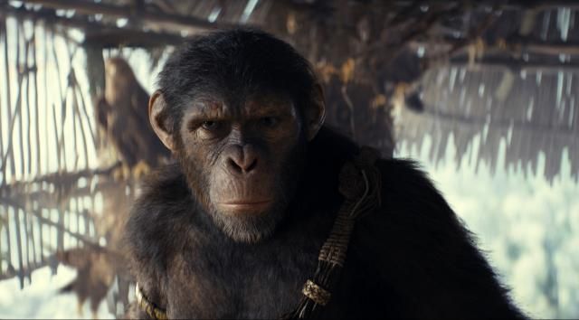 This image released by 20th Century Studios shows Noa, played by Owen Teague, in a scene from "Kingdom of the Planet of the Apes." (20th Century Studios via AP)