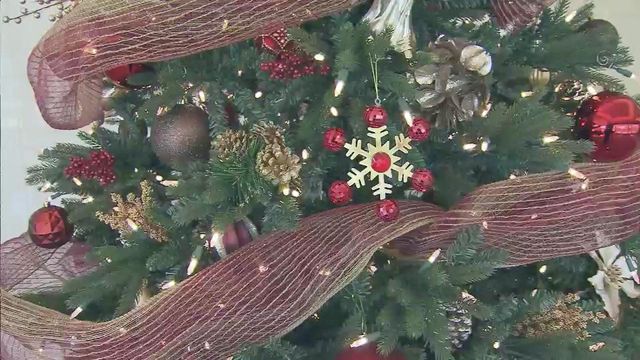 Raleigh woman brings Christmas spirit to White House