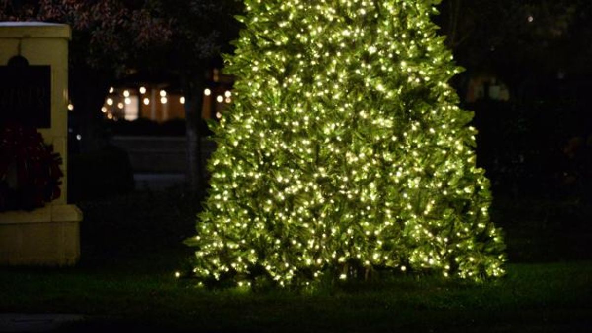 North Hills Annual Tree Lighting Celebration 2016
