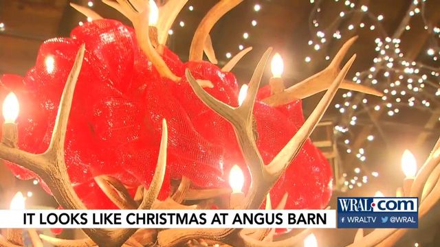 Angus Barn lights up for Christmas