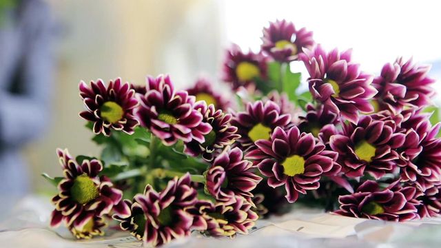 10 most romantic flowers
