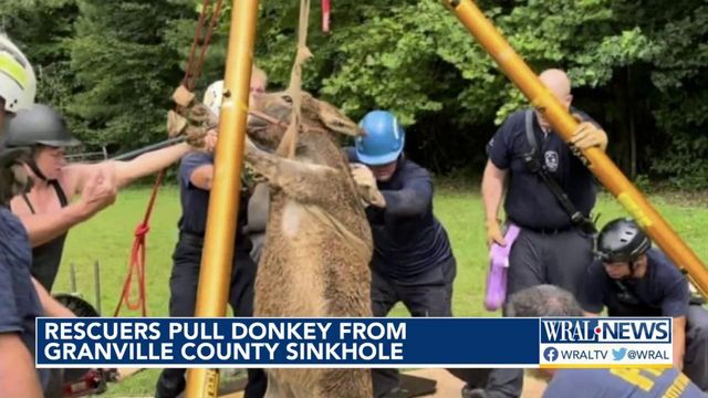 Granville County donkey rescue from sinkhole was team effort