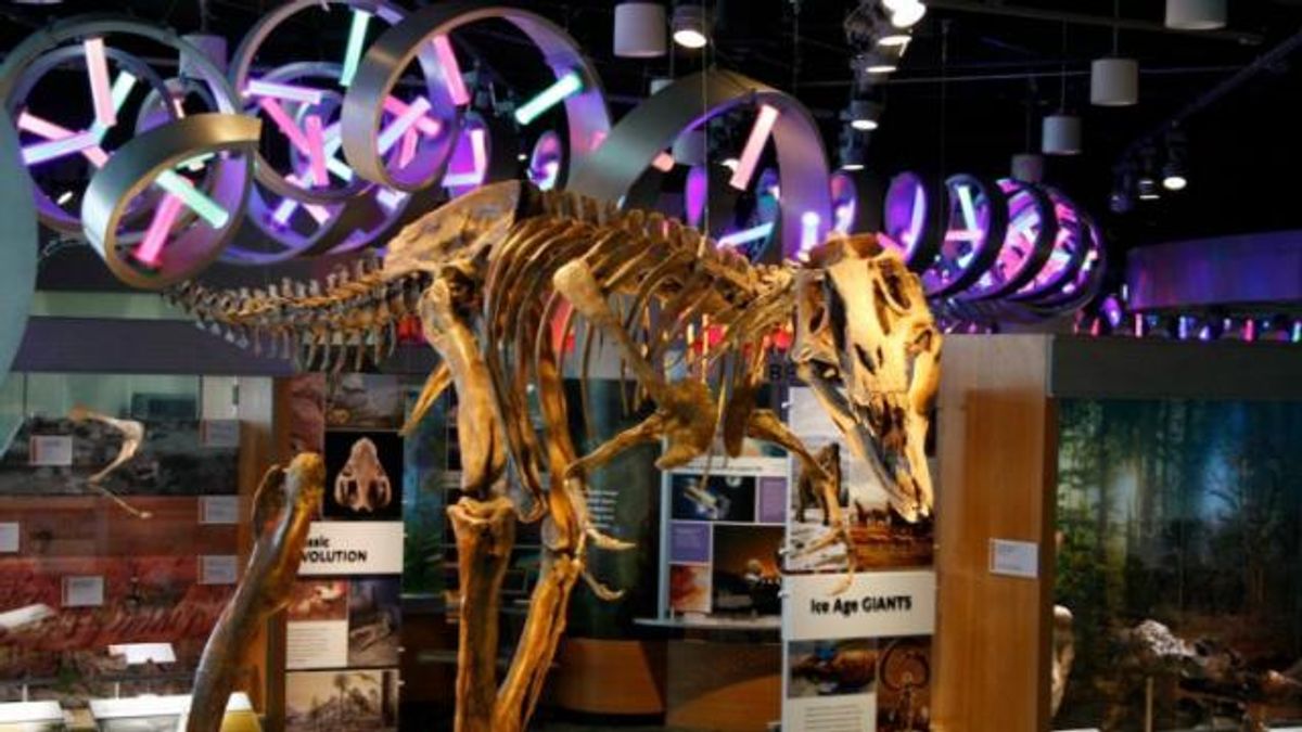Nature Research Center 