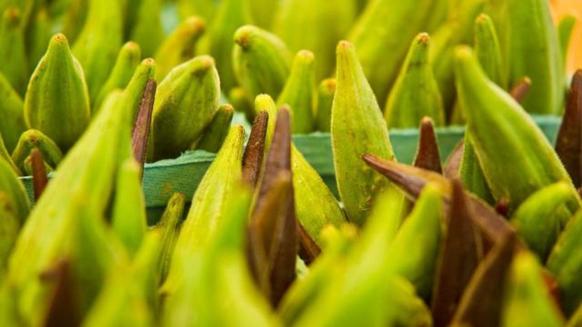 Midtown_Farmers_Market_23