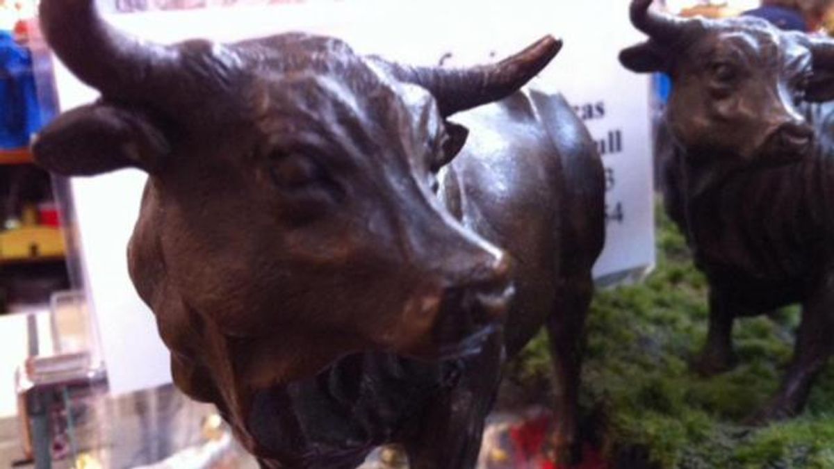 major the bull