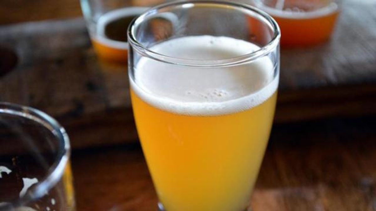 trophy brewing
