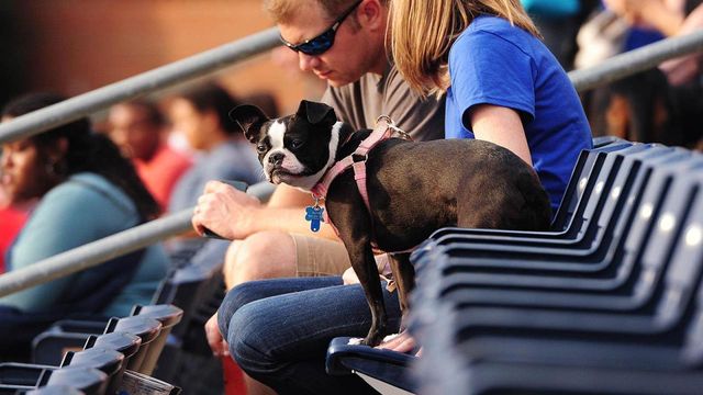 Bark in the Park! - NC Courage