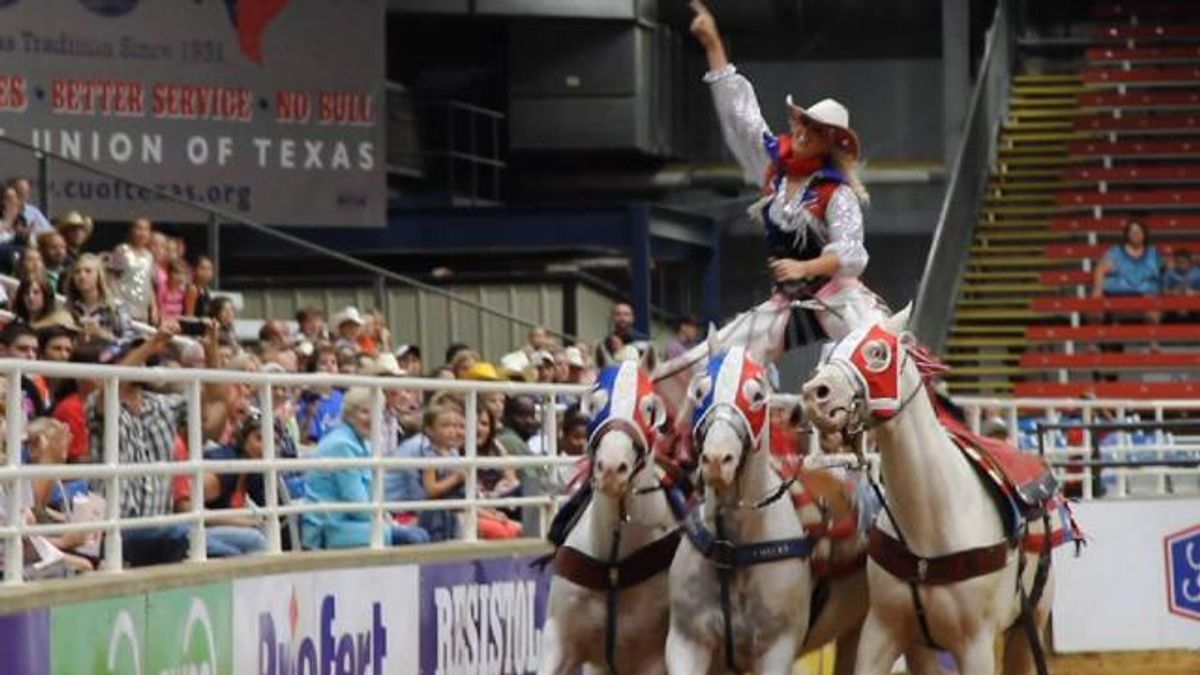 All American Cowgirl Chicks