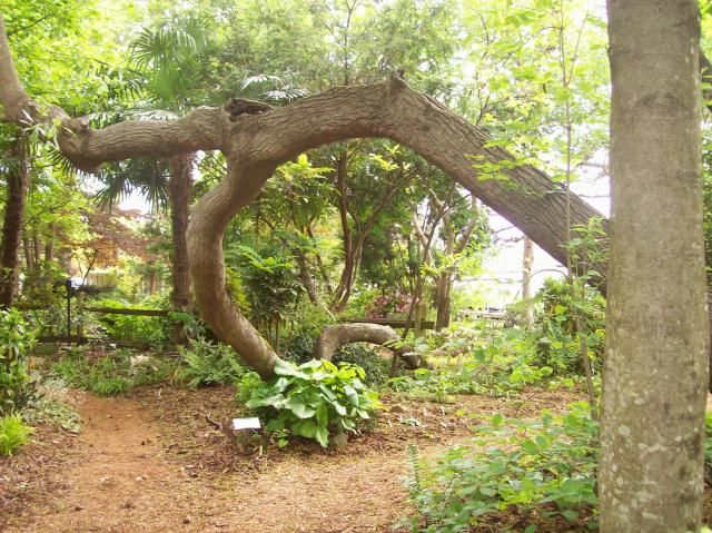 Juniper Level Botanical Garden
