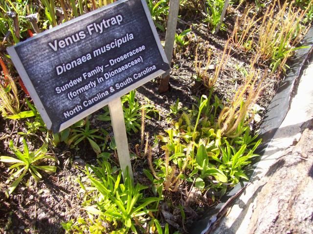 N.C. Botanical Garden