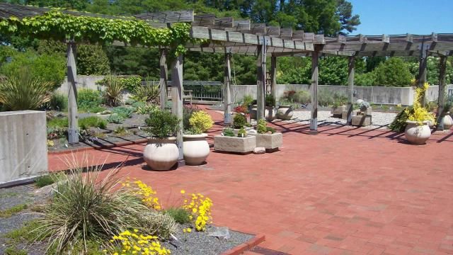 JC Raulston Arboretum