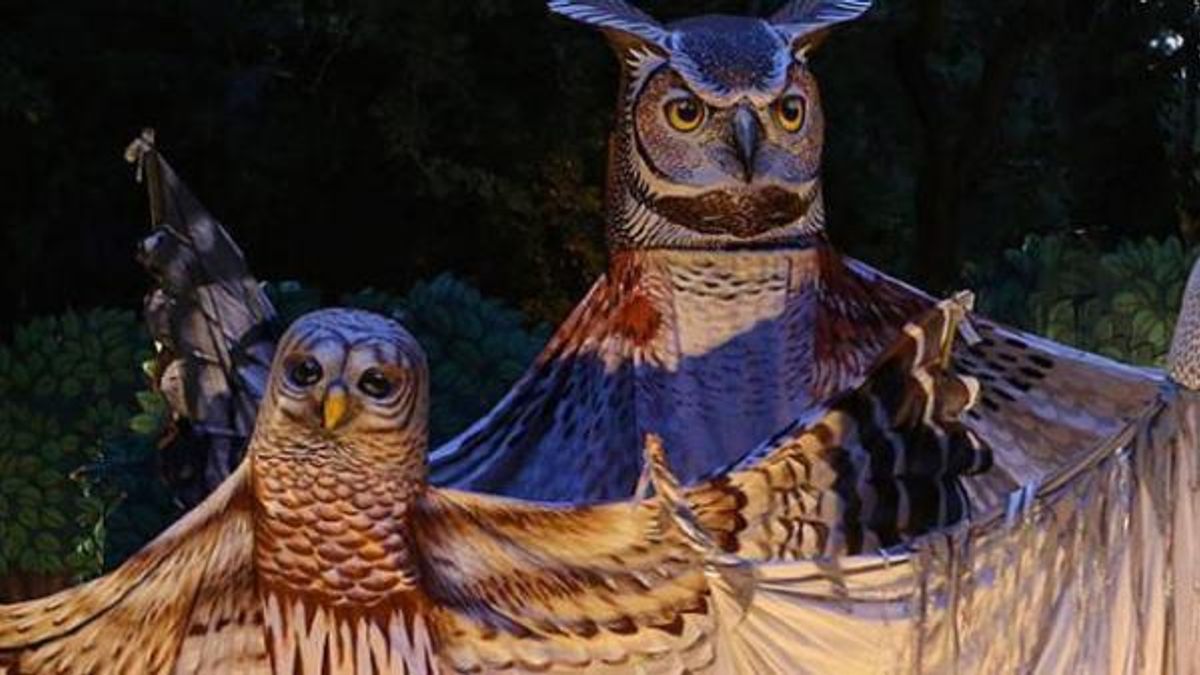 National Folk Festival