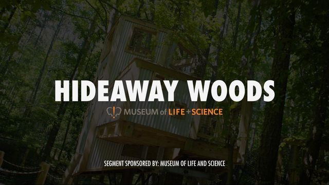 Hideaway Woods offers family friendly fun
