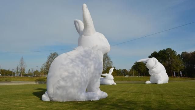 Giant bunny exhibit opens in Raleigh