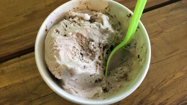 Where to find the best ice cream in the Triangle