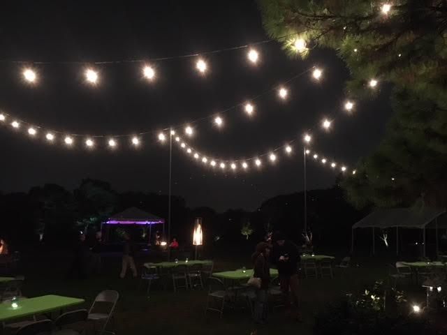Moonlight in the Garden