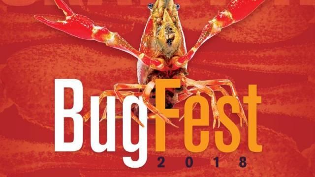 BugFest