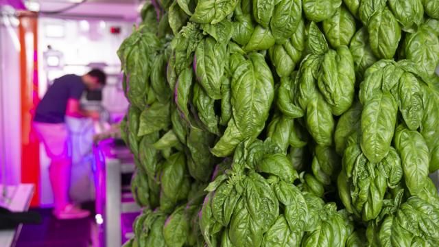 Food Tank Summit explores food waste, disparity