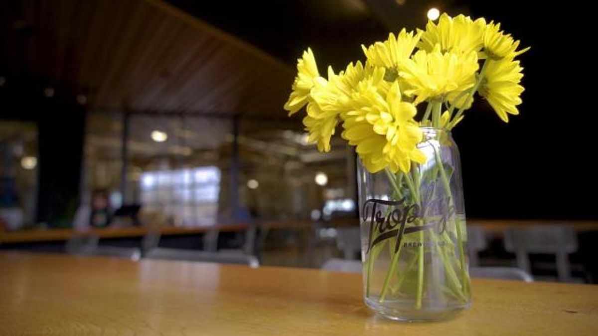 Trophy Brewing talks beer, growth