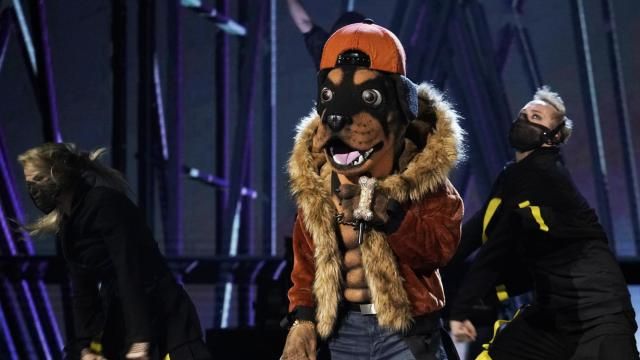The Masked Singer