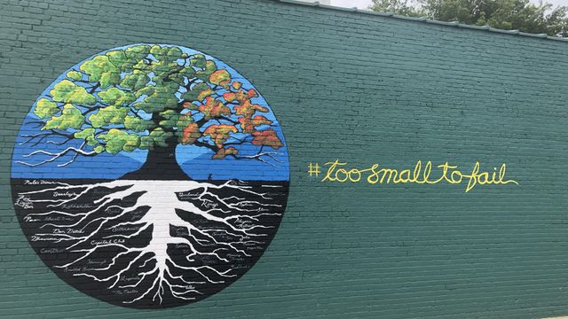 Take a tour of Raleigh's murals