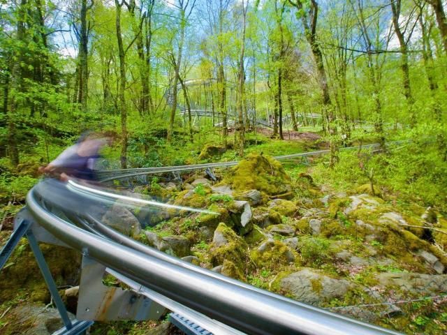 Family owned NC roller coaster draws thousands for its mountain views