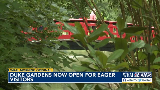 Duke Gardens now open for eager visitors