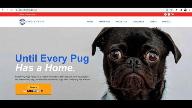 Local nonprofit is all about pugs