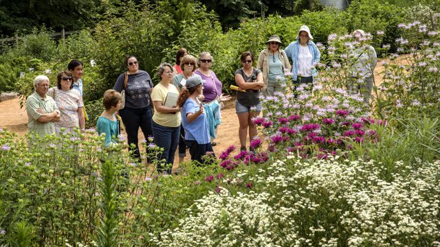 Spring guide: 8 best gardens to visit in the Triangle