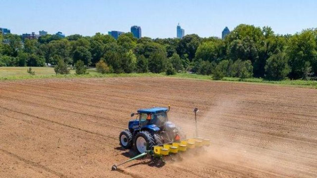Get ready: Dix Park plants nearly 200,000 sunflower seeds. (Image courtesy of the City of Raleigh)