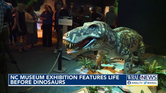 Sneak peek: New exhibit highlights Permian Period, dinosaur precursors