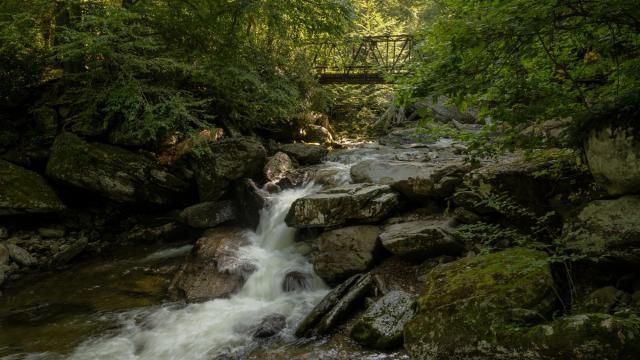 Sun Begins To Filter Into Enloe Creek In Great Smoky Mountains National Park. Places to visit in North Carolina.