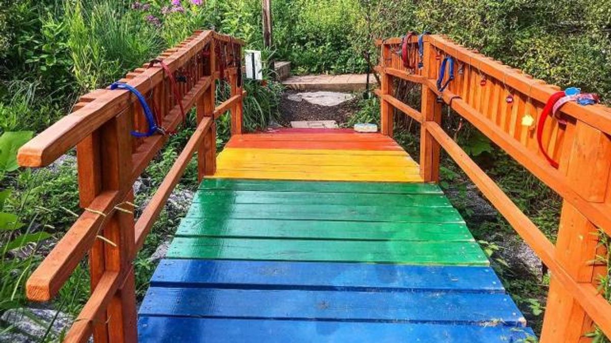 Real-life 'Rainbow Bridge' hidden in enchanted mountain wonderland, near the Lake Lure Flowering Bridge in NC.