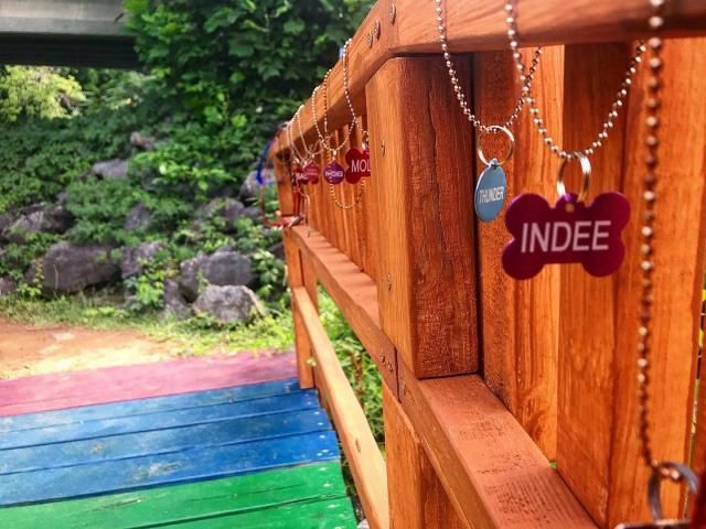 Real-life 'Rainbow Bridge' hidden in enchanted mountain wonderland, near the Lake Lure Flowering Bridge in NC.
