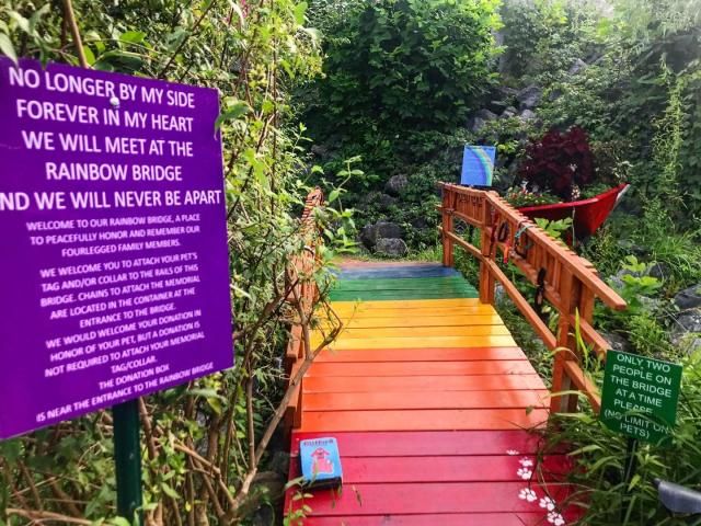 Real-life 'Rainbow Bridge' hidden in enchanted mountain wonderland, near the Lake Lure Flowering Bridge in NC.