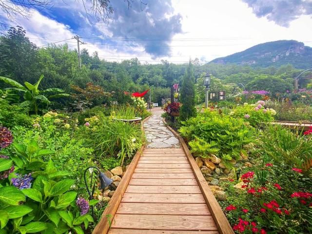 Real-life 'Rainbow Bridge' hidden in enchanted mountain wonderland, near the Lake Lure Flowering Bridge in NC.