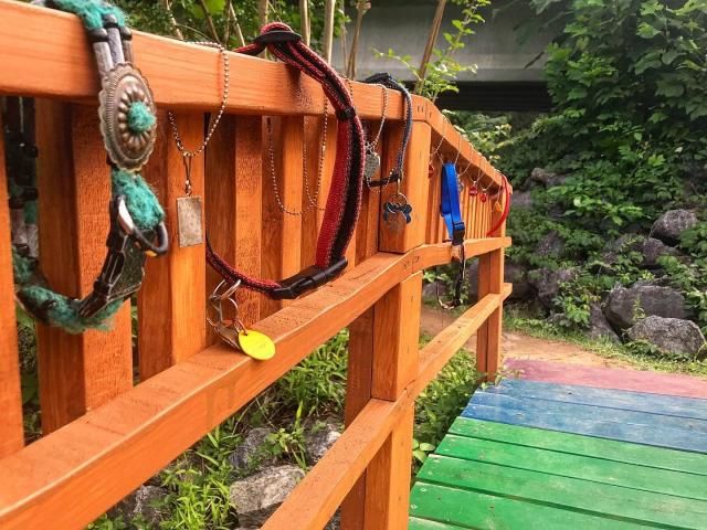 Real-life 'Rainbow Bridge' hidden in enchanted mountain wonderland, near the Lake Lure Flowering Bridge in NC.